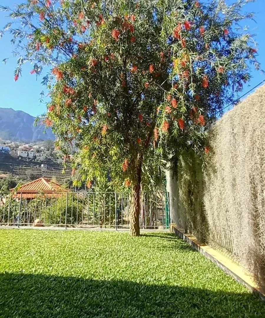 Refugio Do Limoeiro Villa São Vicente Vakantiehuis