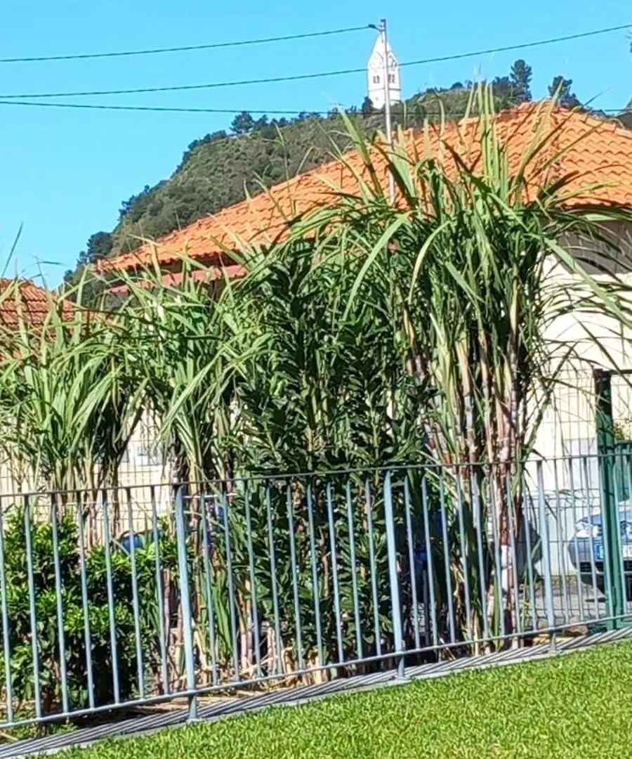Refugio Do Limoeiro Villa São Vicente